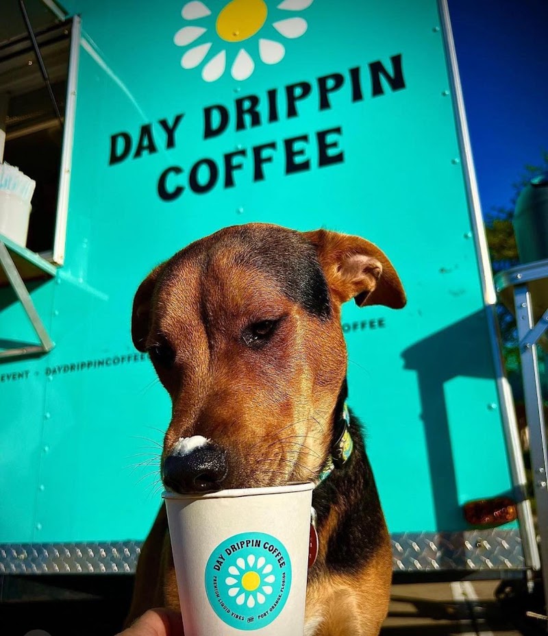 Day Drippin Coffee photo 2