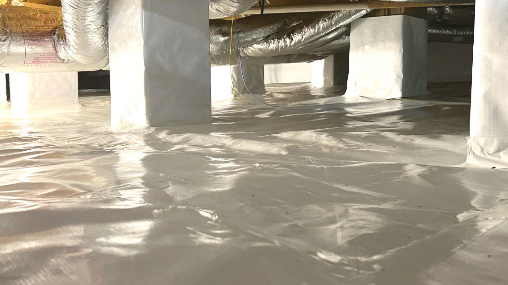 Crawl Space Nash — photo