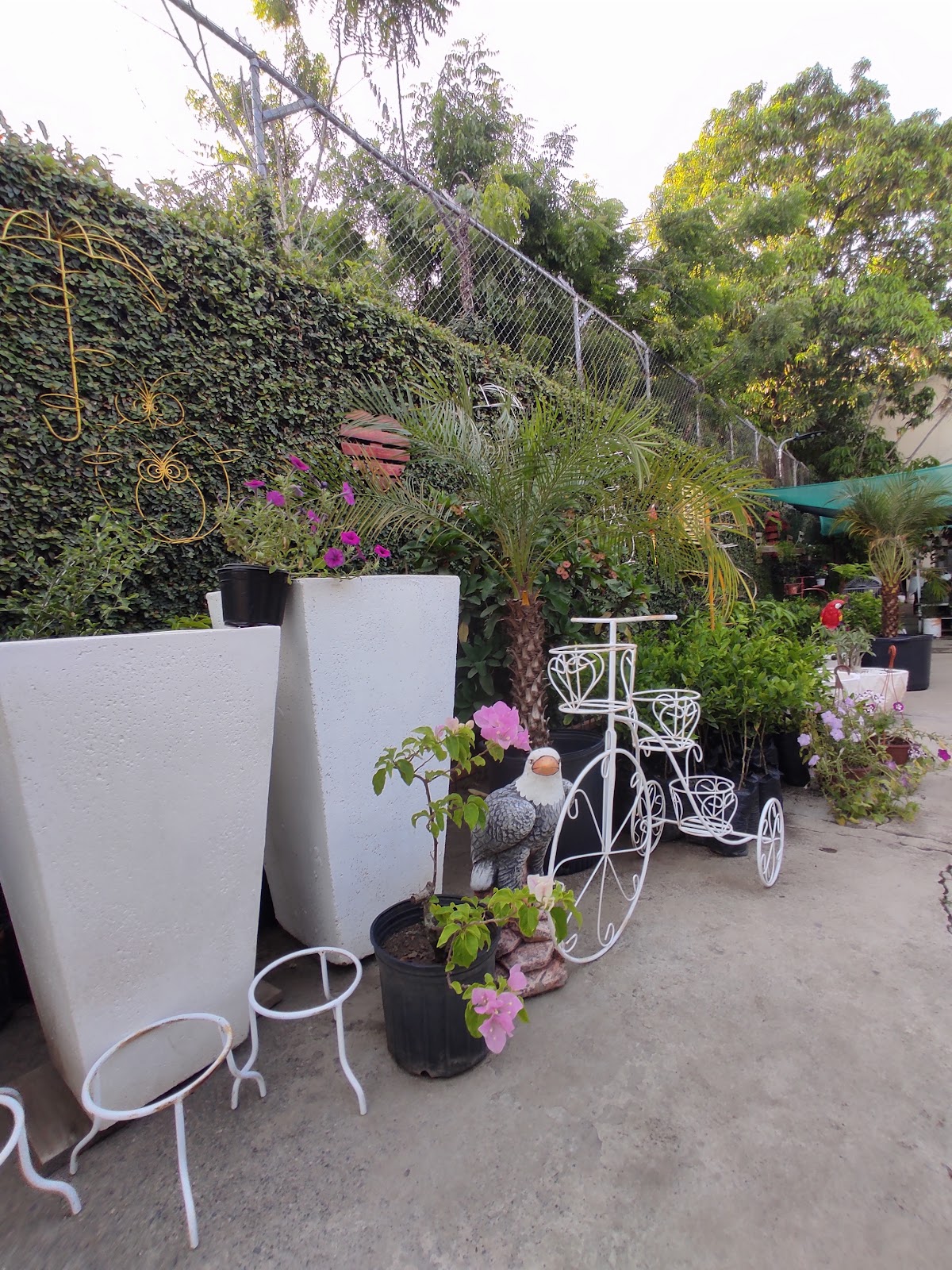 Vivero Mi Patio - Imagen 1