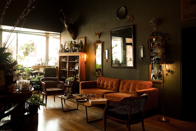 Hive & Hollow photo 3