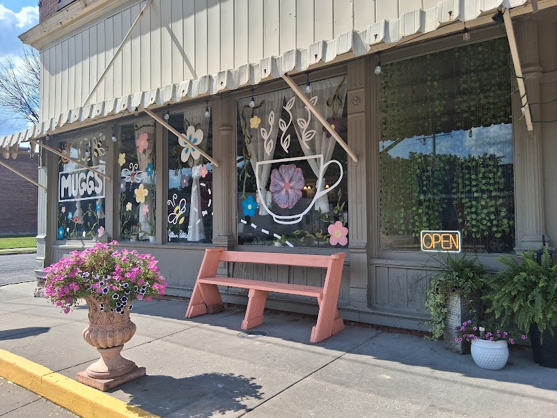 MUGGS Coffee House photo 1