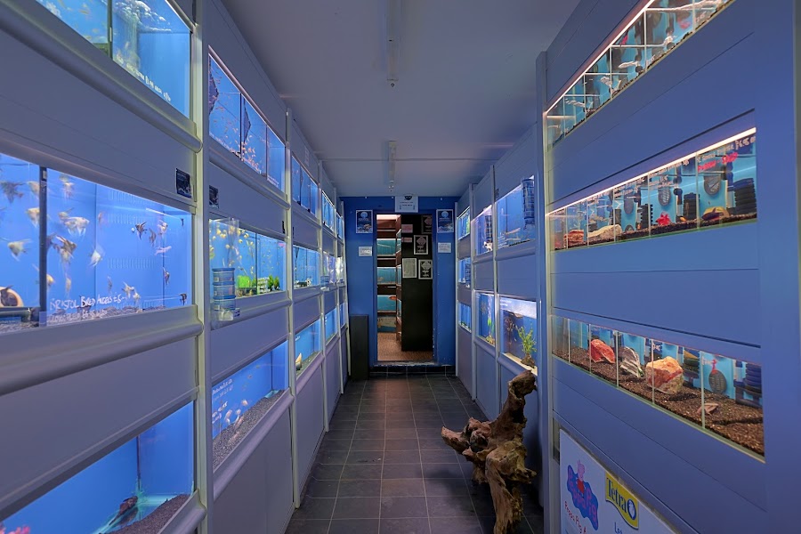 The Aquatic Store