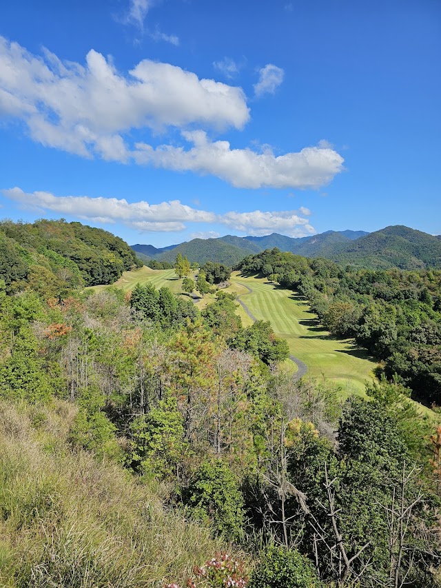Forest Ichikawa Golf Club - Photo 7