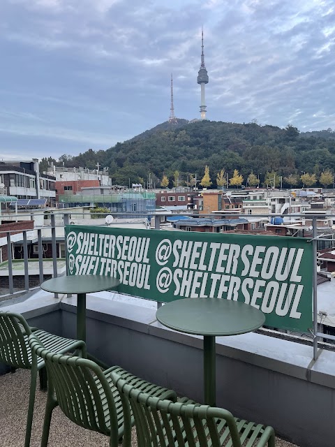 쉘터 구로구 애견카페
