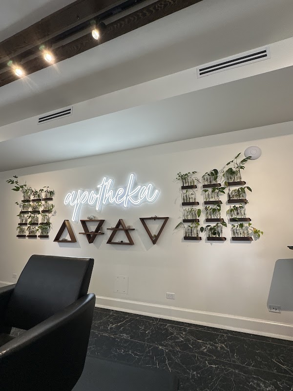 Apotheka Salon — featured vendor