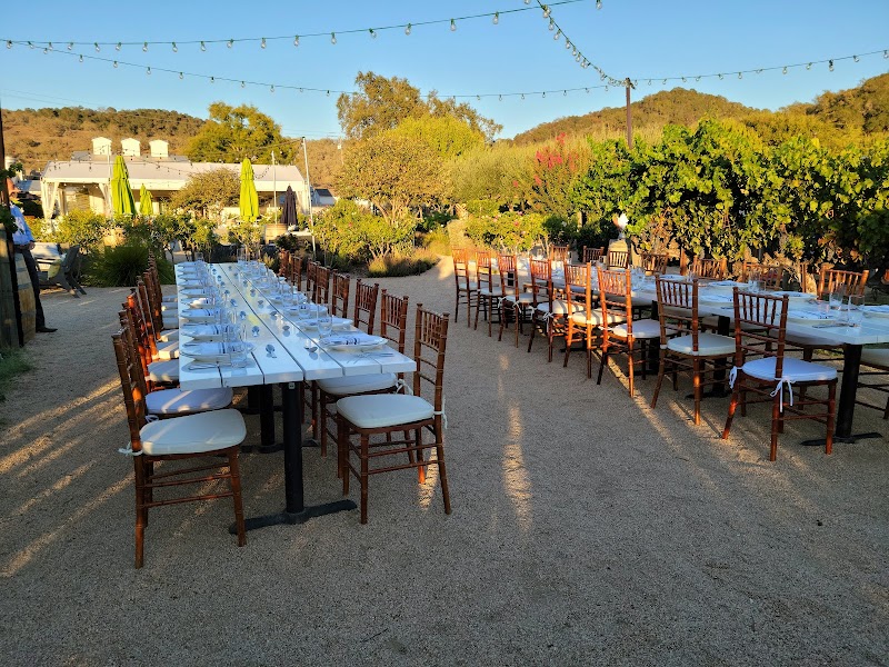 Vineyard views and garden dining