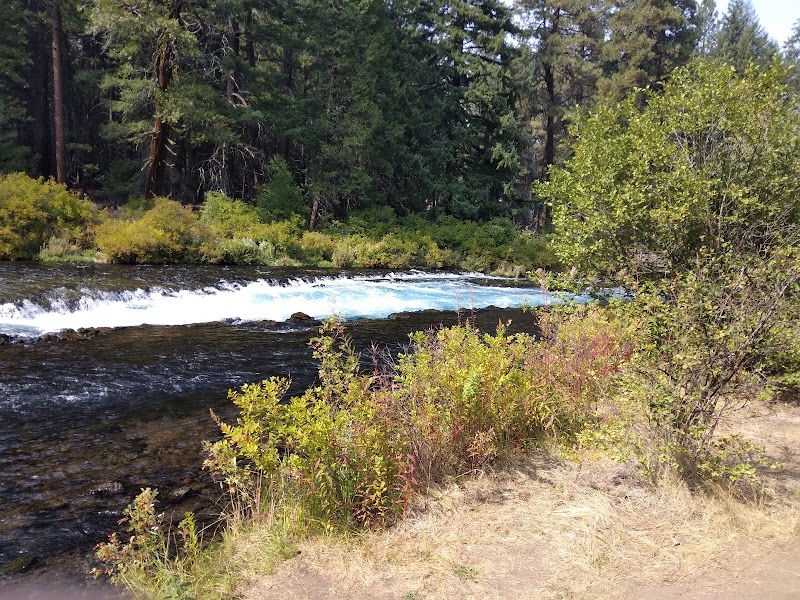 Wizard Falls Fish Hatchery - Photo 5