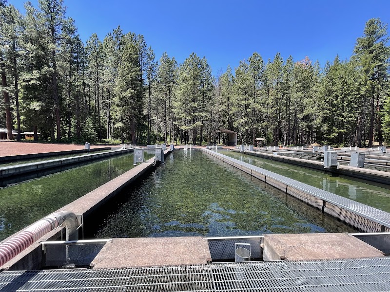 Wizard Falls Fish Hatchery - Photo 2