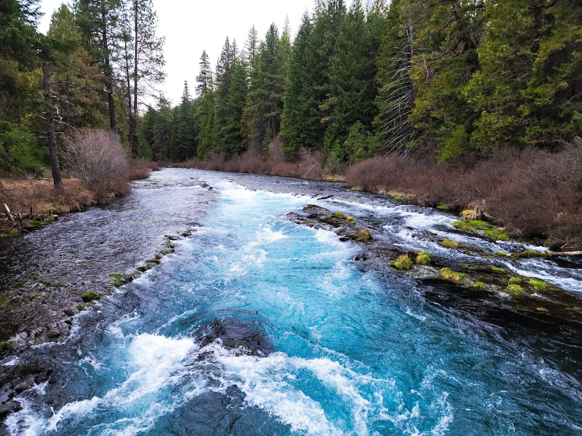 Wizard Falls Fish Hatchery