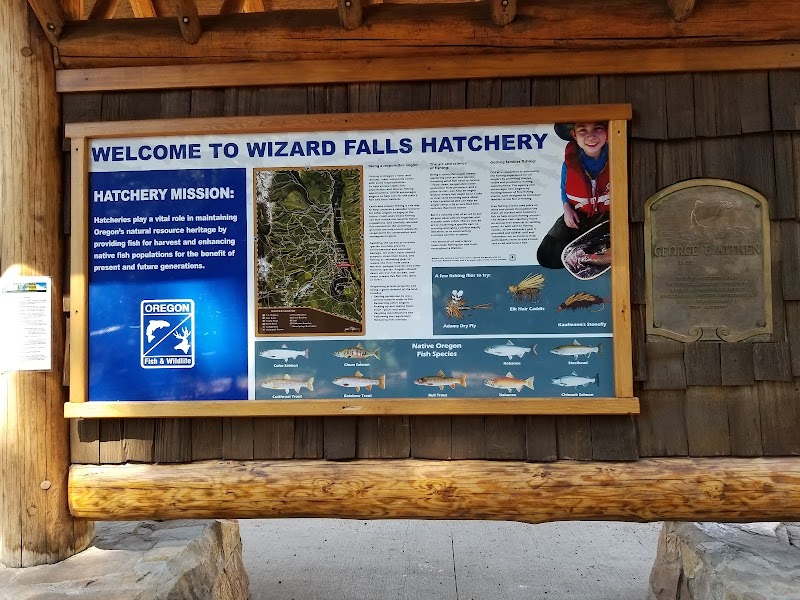 Wizard Falls Fish Hatchery - Photo 6