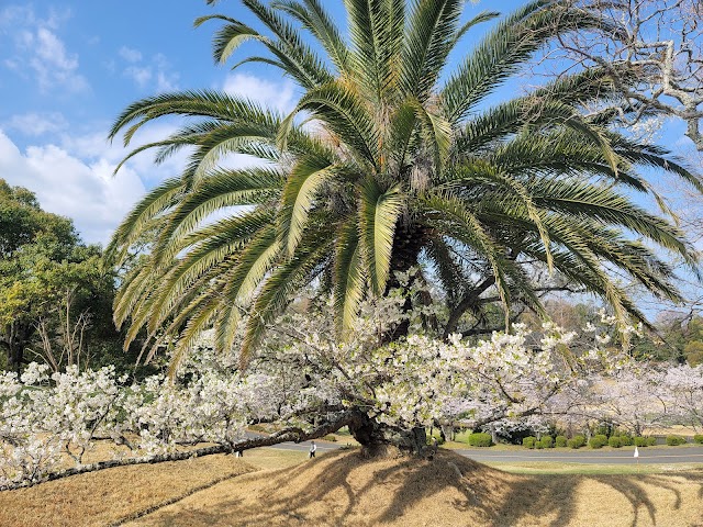Izumigaoka Country Club - Photo 9