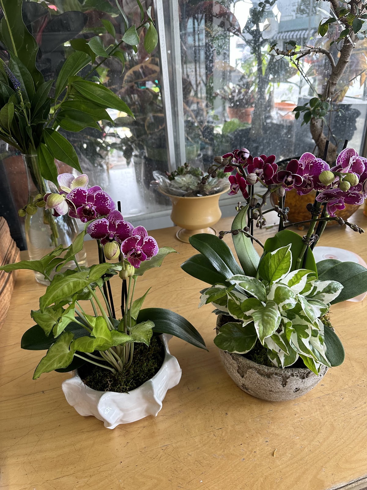 Blooms on Beverly: Google Places image 4