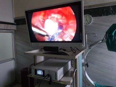 Dr Priyanka Gupta - Image 2