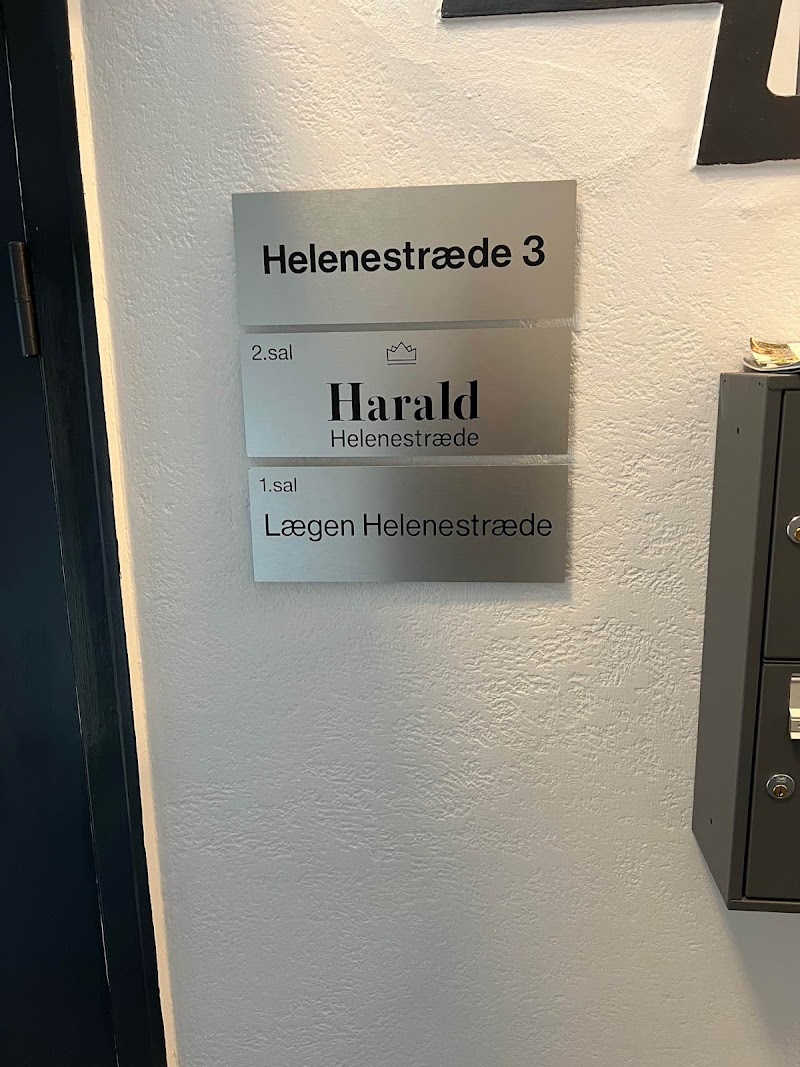 Harald Helenestræde - billede 4