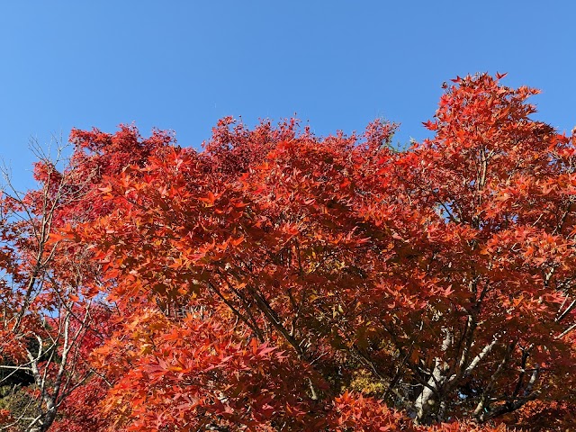 Oosato Golf Club - Photo 7