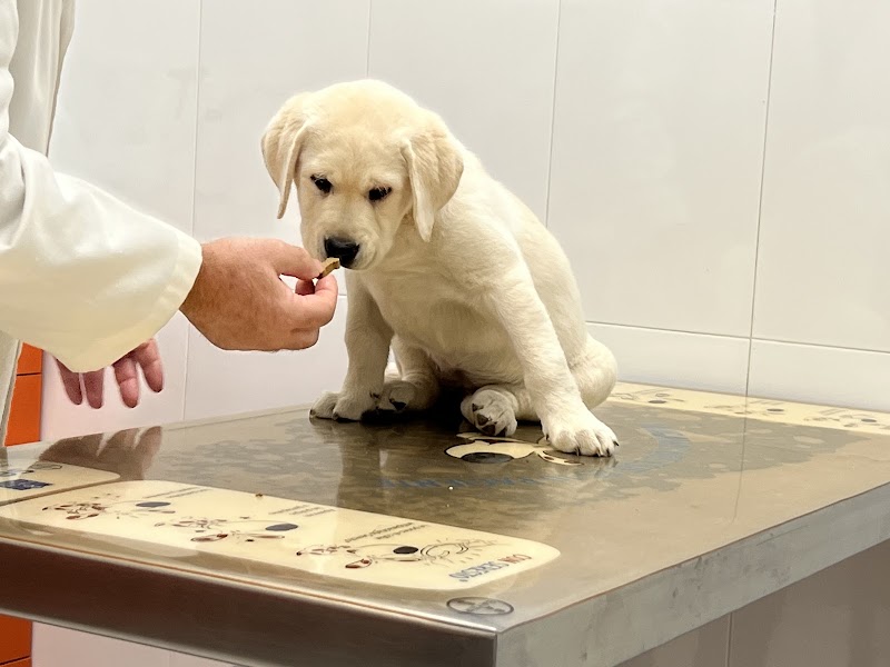 José Angel Gómez García