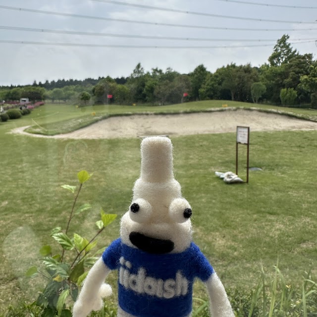 Chiba City Citizens Golf Course - Photo 7
