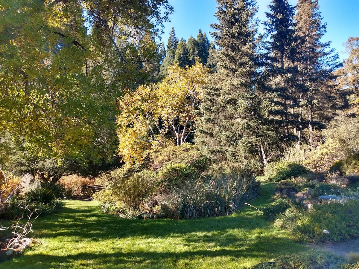 Regional Parks Botanic Garden: Google Places image 3