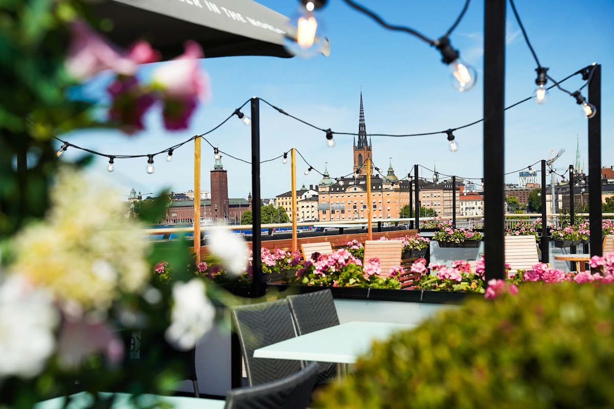 Hilton Stockholm Slussen, dog-friendly hotel in Stockholm