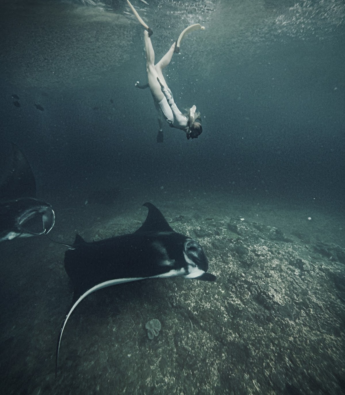 SALTY PENIDA SNORKELING