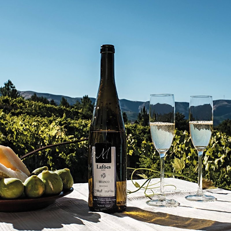 Quinta da Moitinha - Vinho de Lafões
