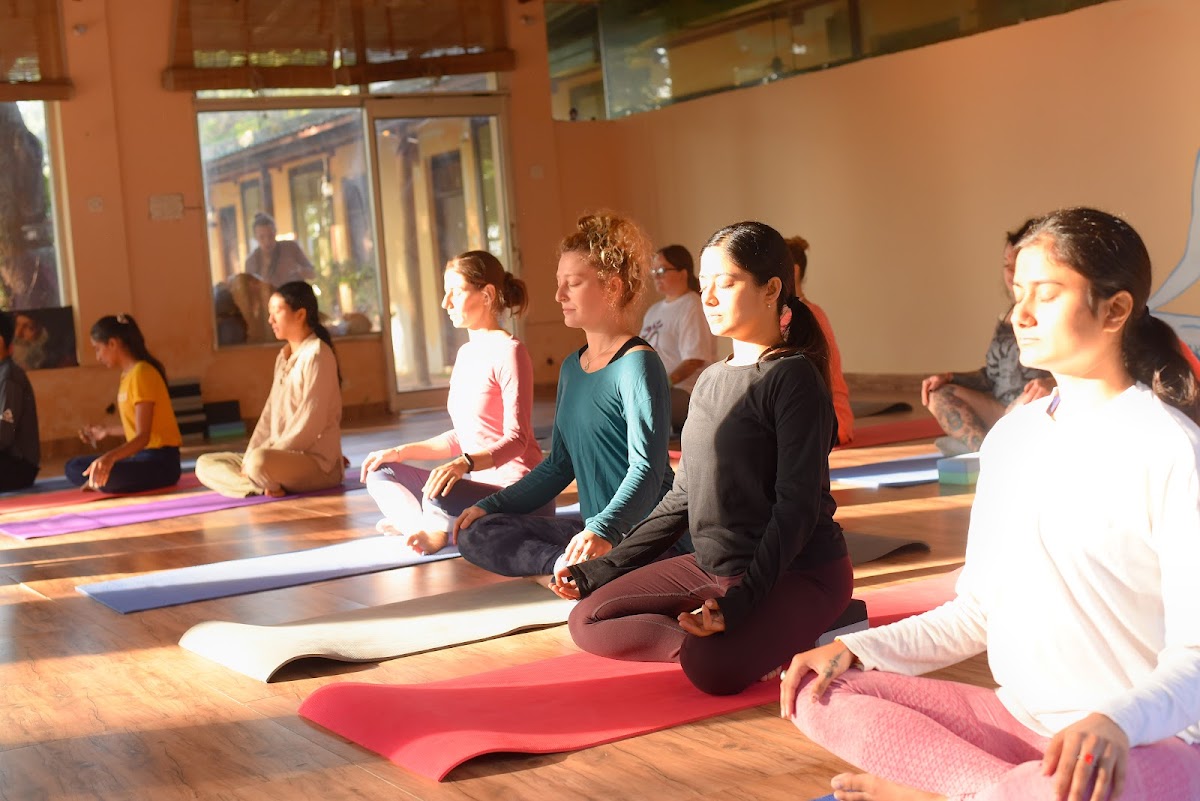 Tarang Yoga Ashram Tarang Yoga School - Best Yoga Retreats in Rishikesh Yoga Teacher Training Course YTTC in Rishikesh India