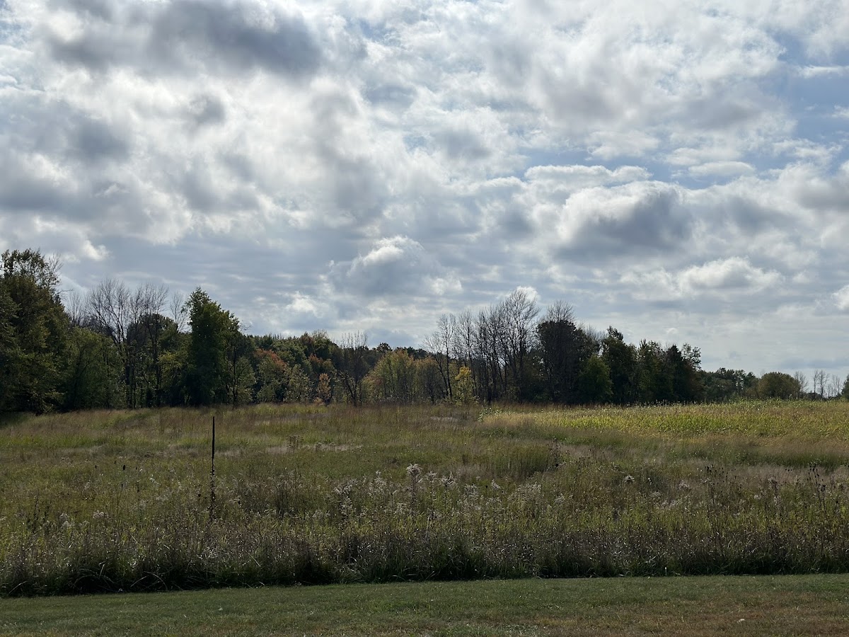 Wicked Wings Ranch