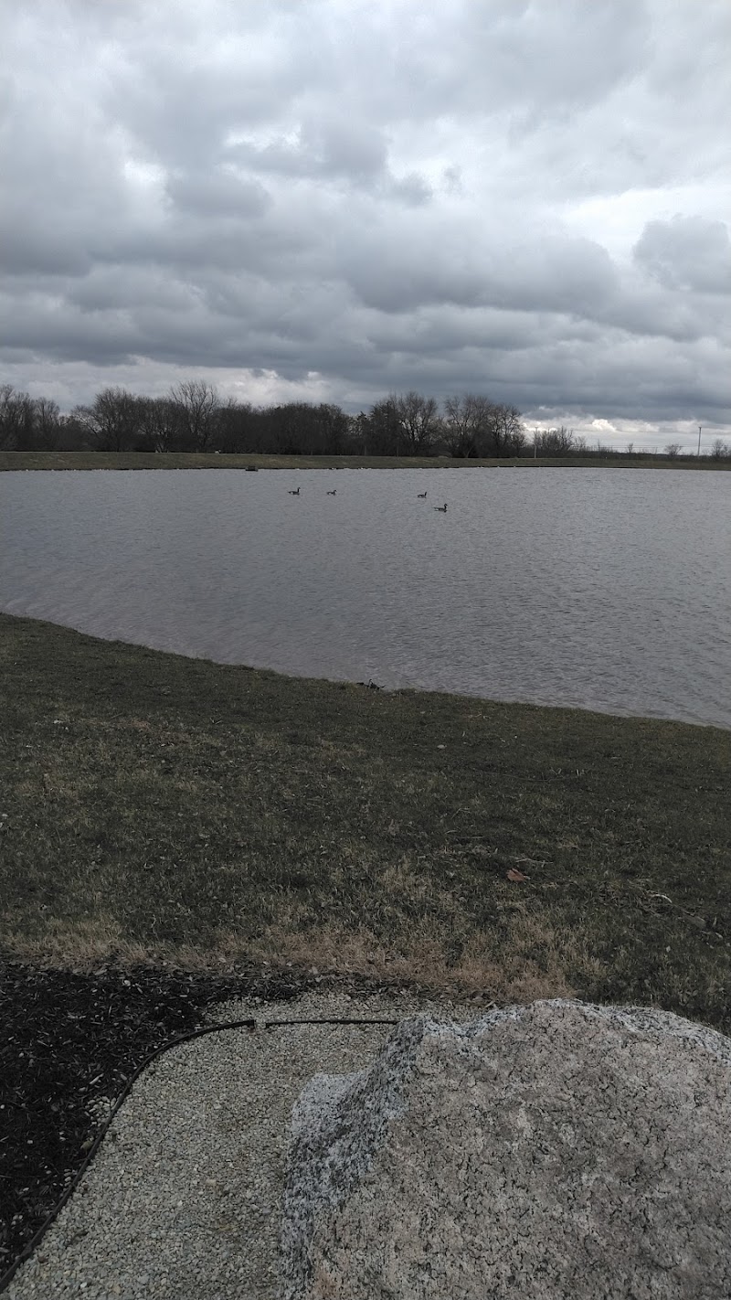 Arthur O Fisher Park Disc Golf Course photo 3