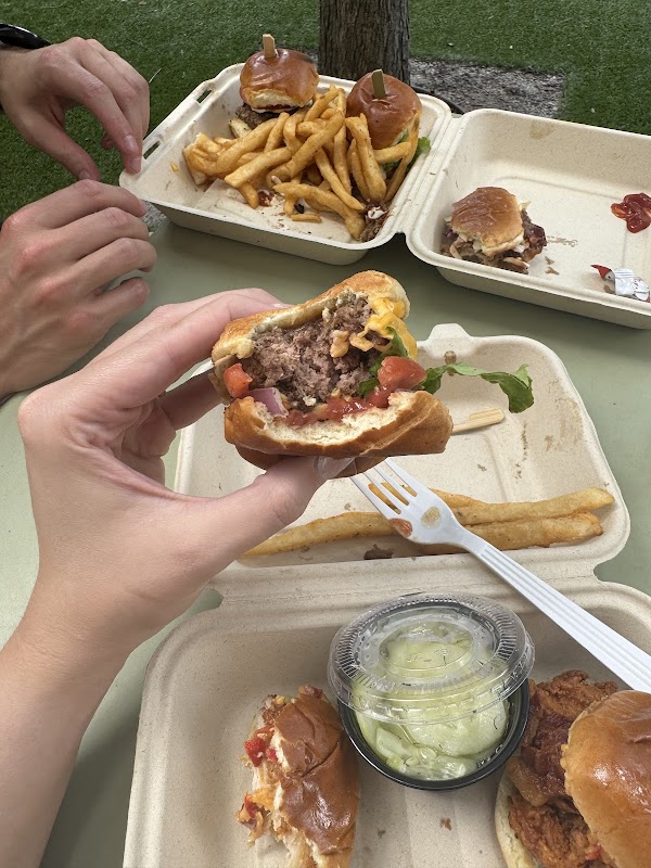 City Sliders photo 4