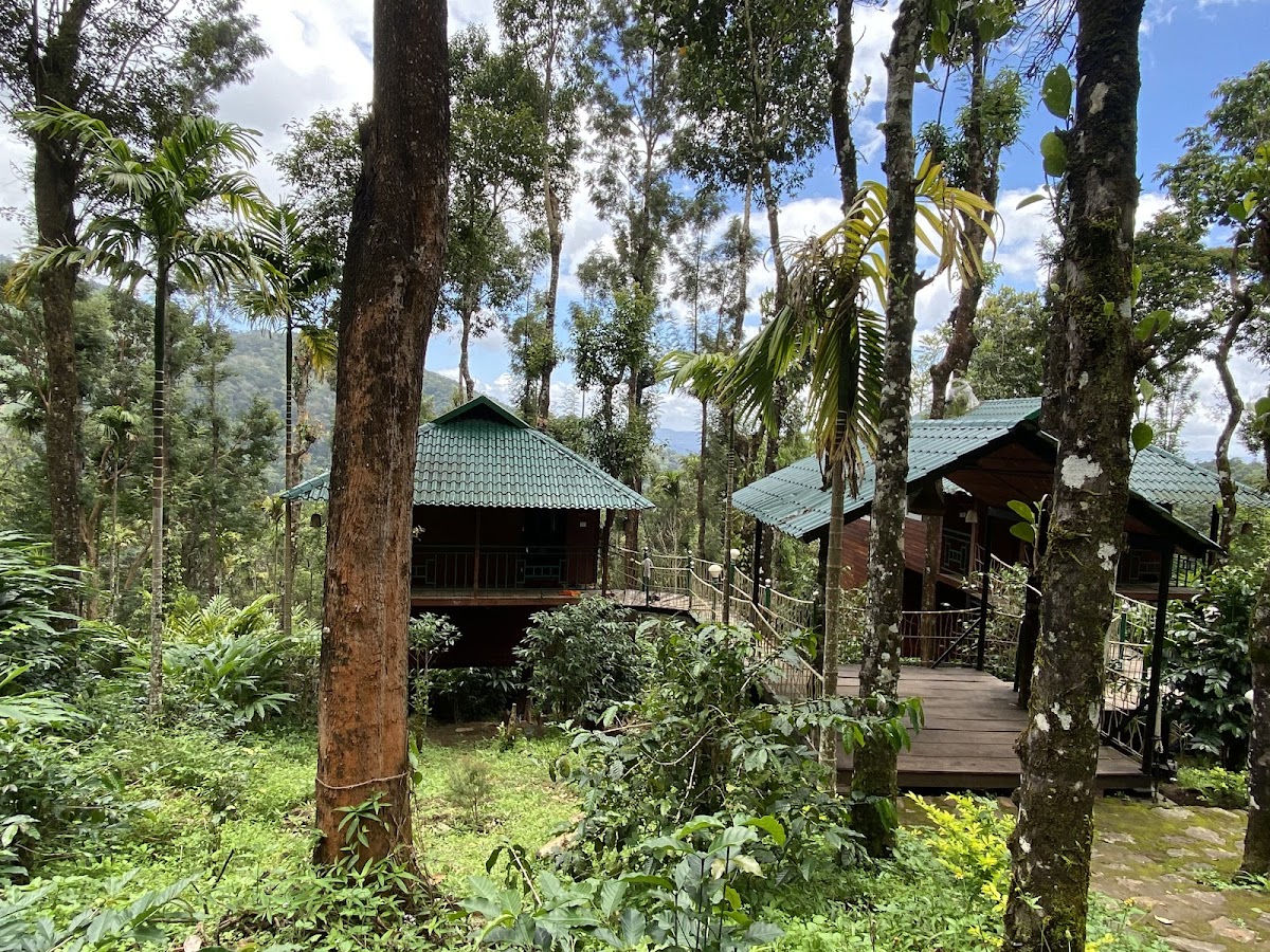 Sitaram Mountain Retreat - Ayurvedic Retreat at Munnar — 3
