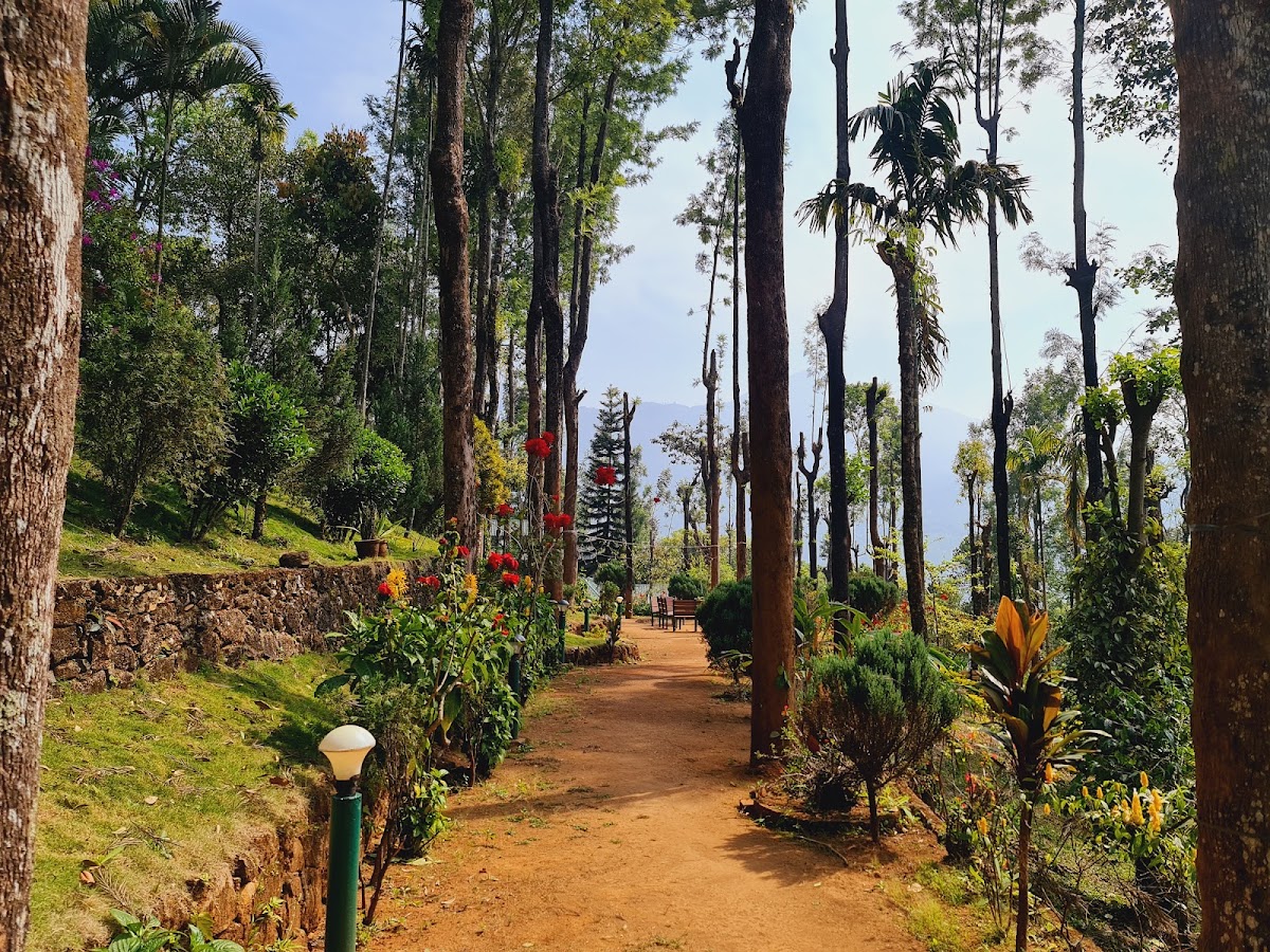 Sitaram Mountain Retreat - Ayurvedic Retreat at Munnar — 4