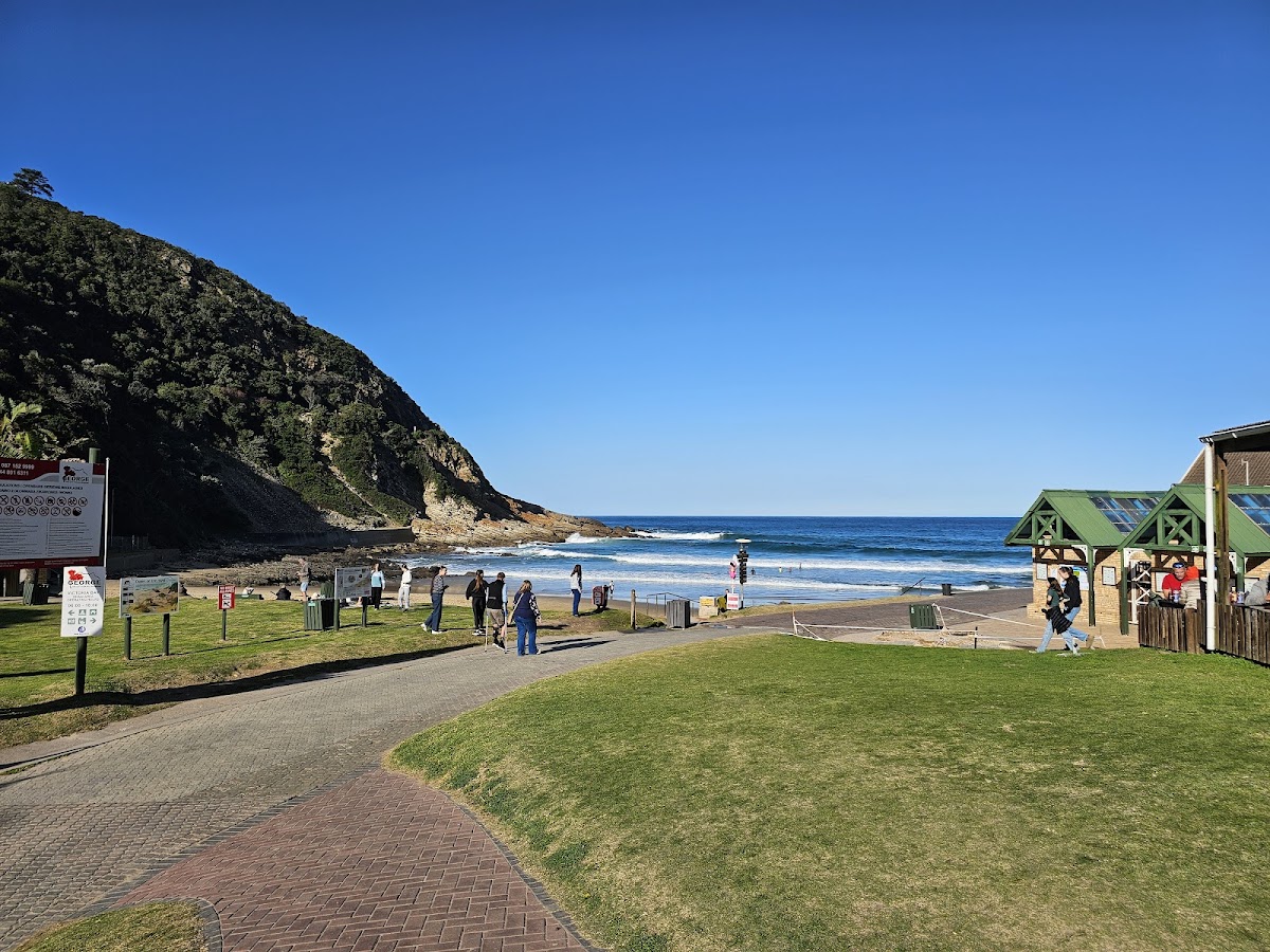 Vikki's At The Beach — photo 3