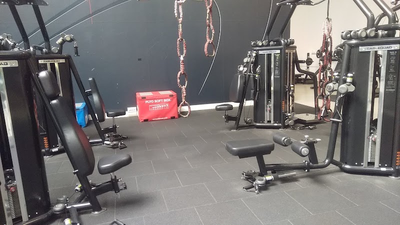 Palestra Universo Prato