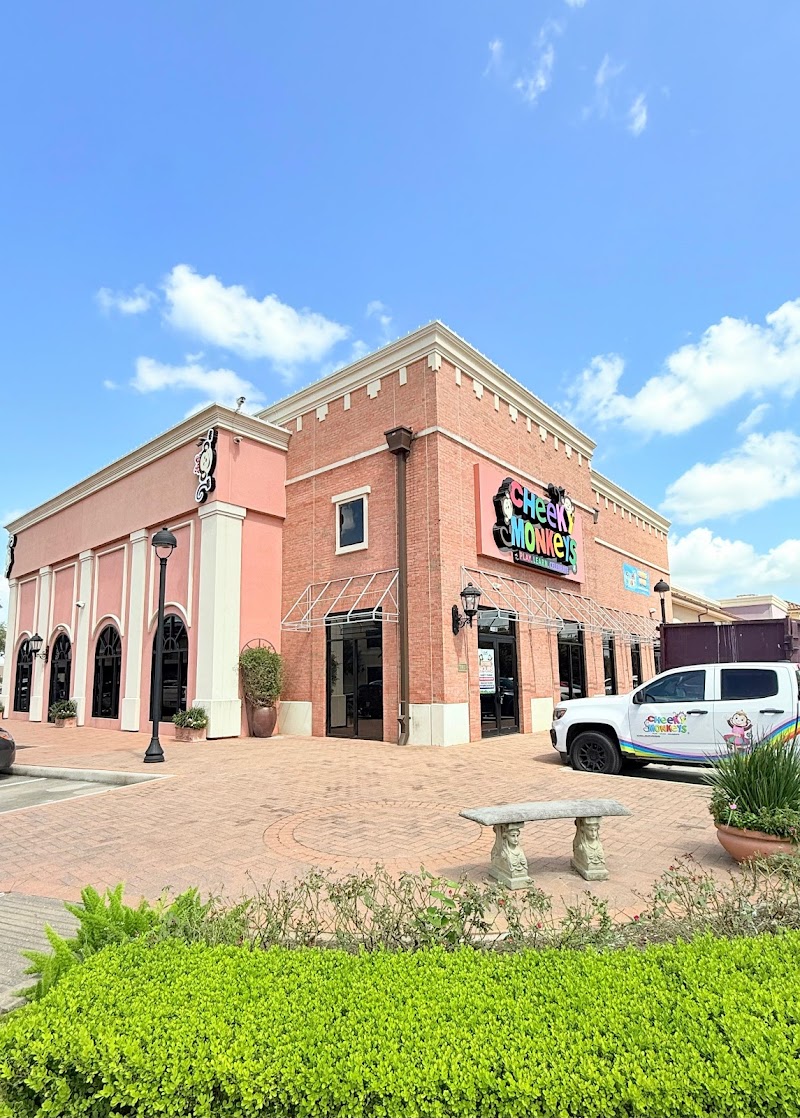 Cheeky Monkeys - Vintage Park — Indoor Playground in Houston