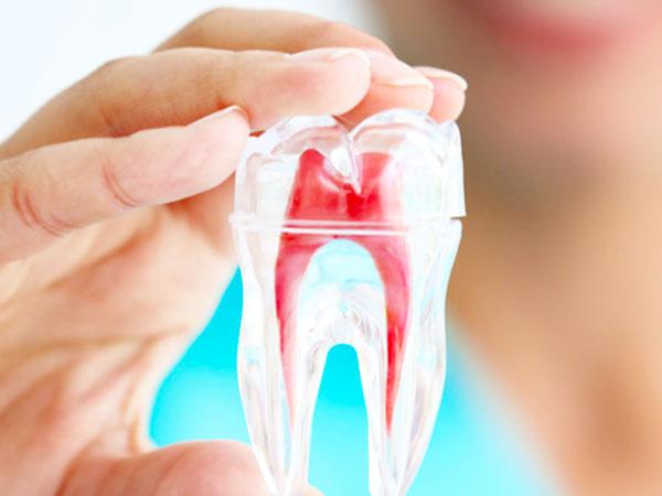 Dent-São Clínica Odontológica - foto 4