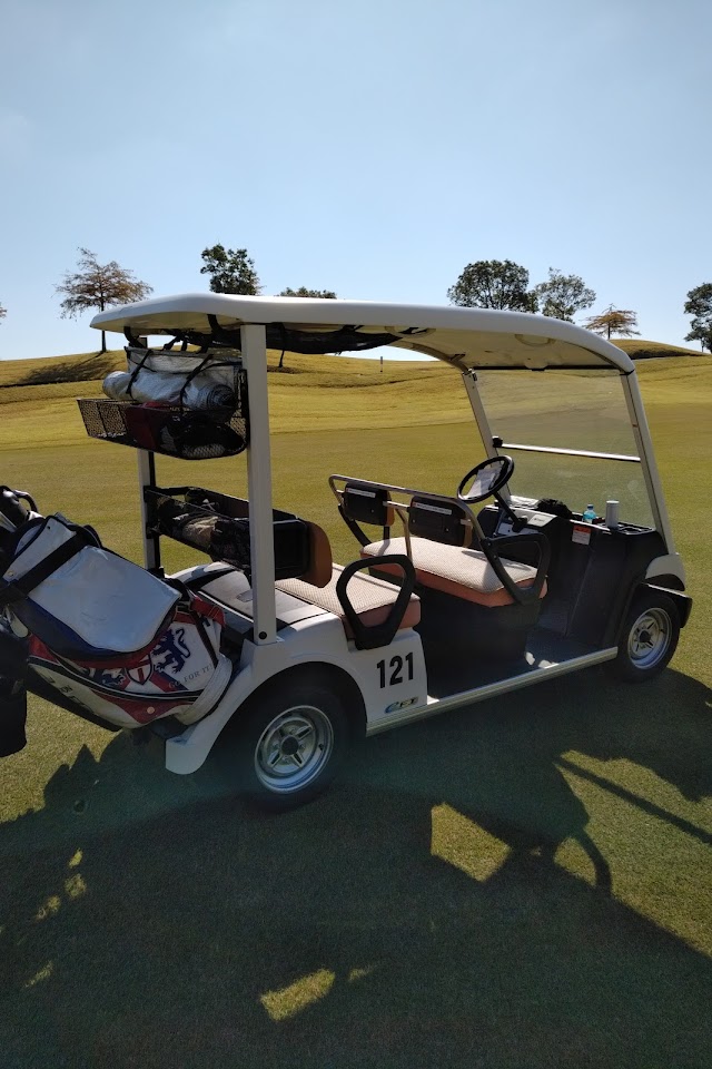 NINE STONE GOLF CLUB - Photo 6