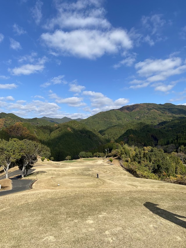 NINE STONE GOLF CLUB - Photo 3