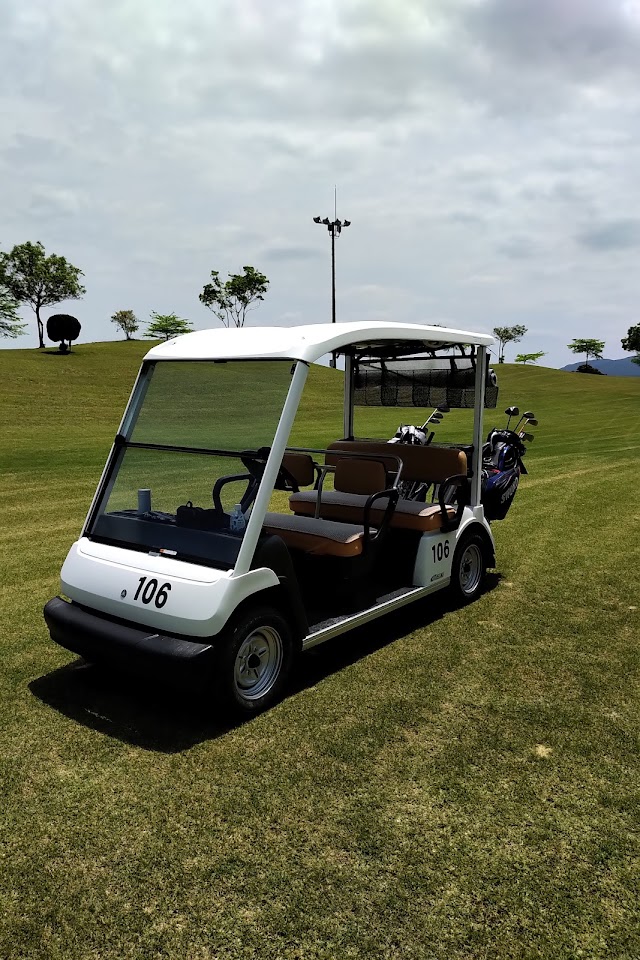 NINE STONE GOLF CLUB - Photo 10