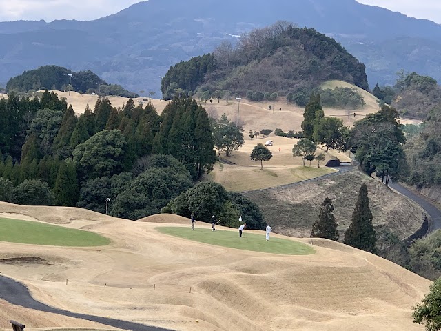 NINE STONE GOLF CLUB - Photo 2