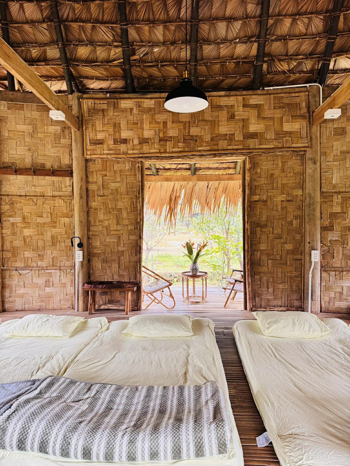 Dhami Farmstay - Yoga Retreat — 3