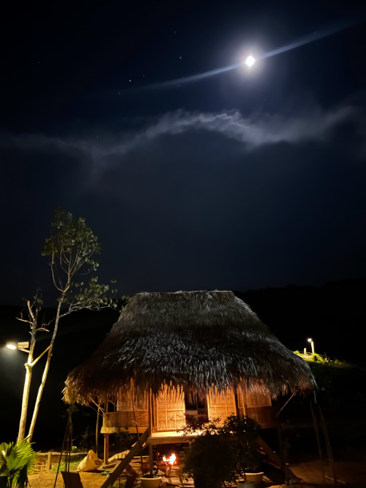 Dhami Farmstay - Yoga Retreat — 4