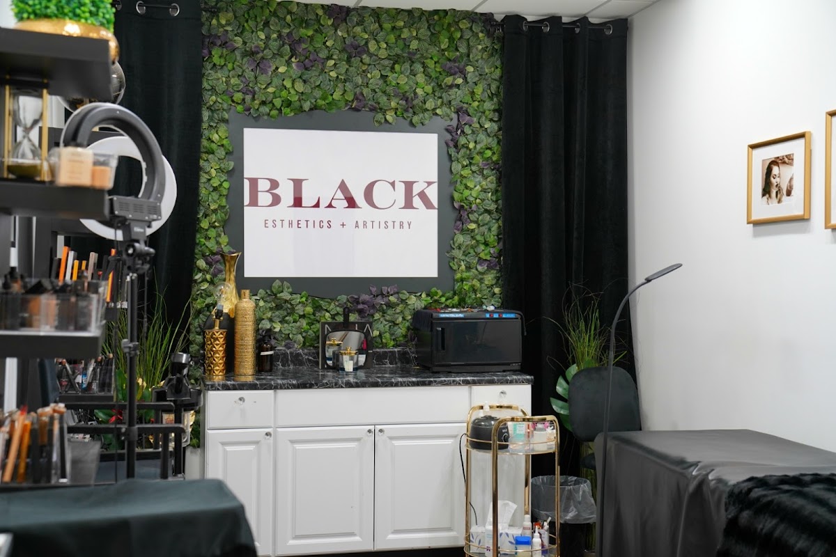 Black Esthetics & Artistry: Google Places image 2