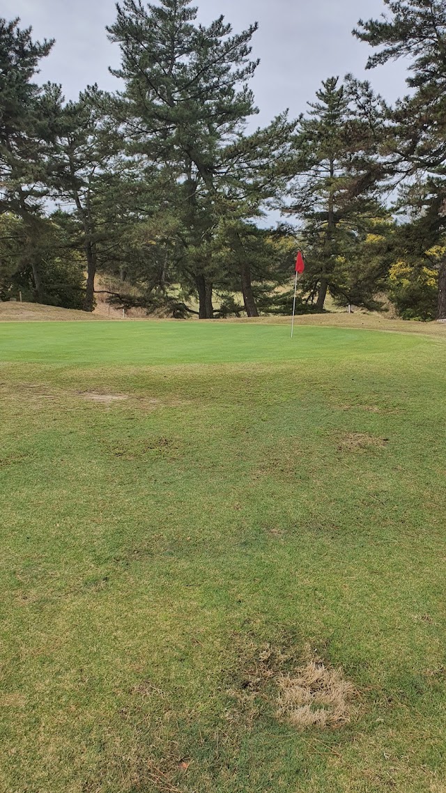 Hikarioka Public Golf Course - Photo 2