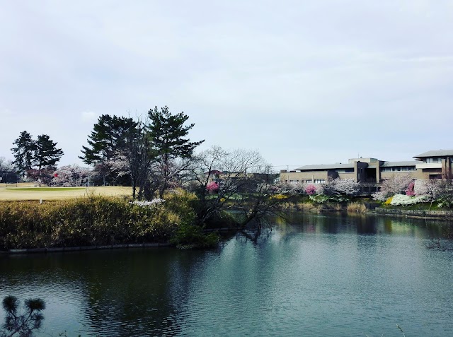 Hikarioka Public Golf Course - Photo 10