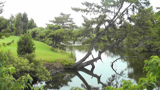 Hikarioka Public Golf Course - Photo 9