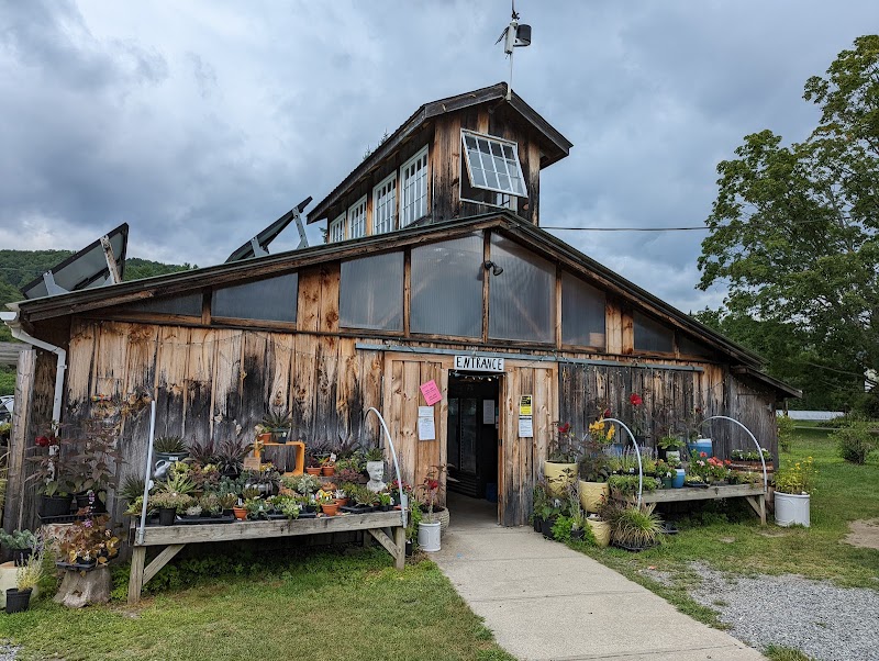 Cedar Circle Farm & Education Center photo 2