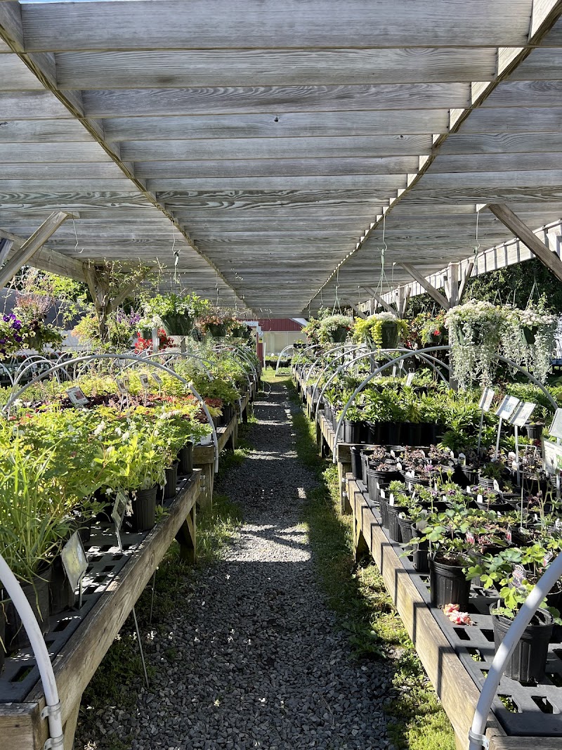 Cedar Circle Farm & Education Center photo 3