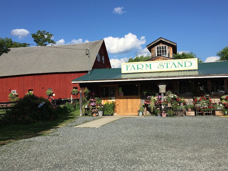 Cedar Circle Farm & Education Center photo 4