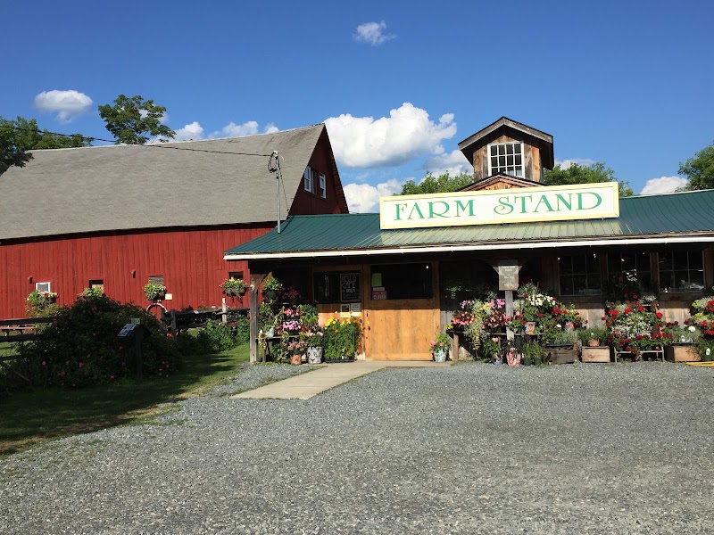 Cedar Circle Farm & Education Center photo 4