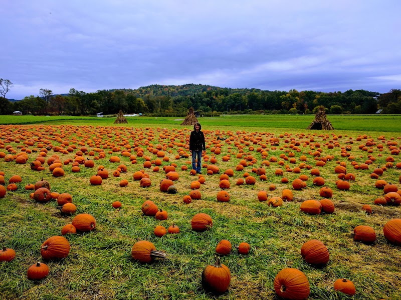 Cedar Circle Farm & Education Center photo 1
